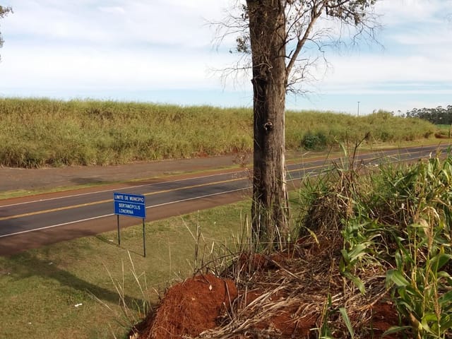 Foto do Chácara - Terreno à venda, 72.000 m² por R$ 3.180.000 - Zona Rural - Warta - Londrina/PR | Grupo Mitral Imóveis
