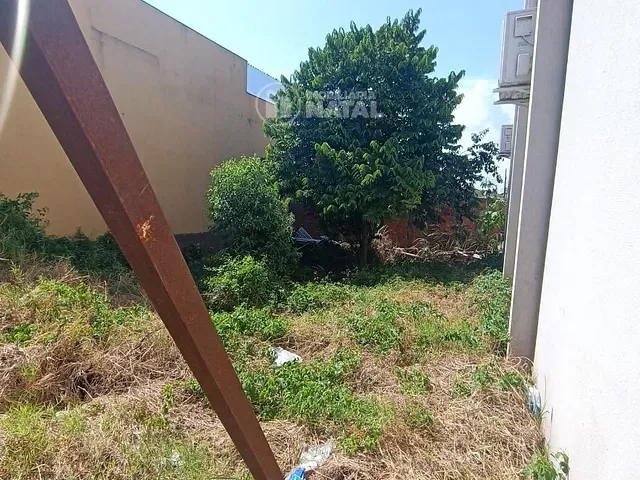 Terreno com 250m², para alugar, no bairro Conjunto Habitacional Violim em Londrina