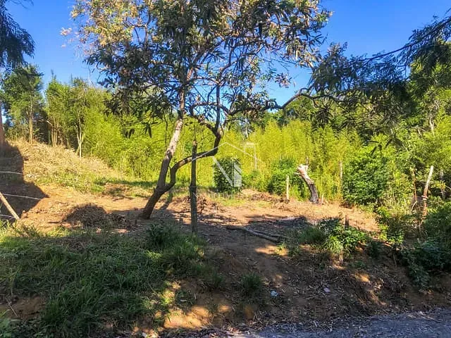 Terreno com 525m², à venda, no bairro Jacaroá em Maricá