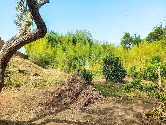 Terreno com 525m², à venda, no bairro Jacaroá em Maricá
