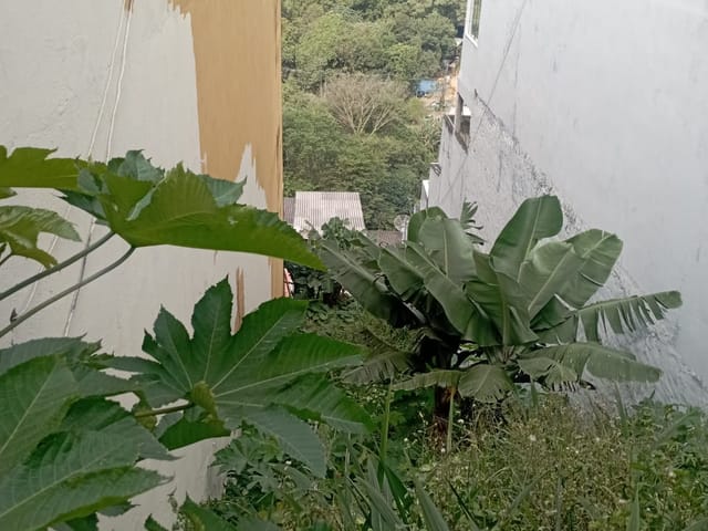 Foto do Terreno - Terreno à Venda, Jardim Adelfiore, São Paulo, SP | Cruz Negócios Imobiliários