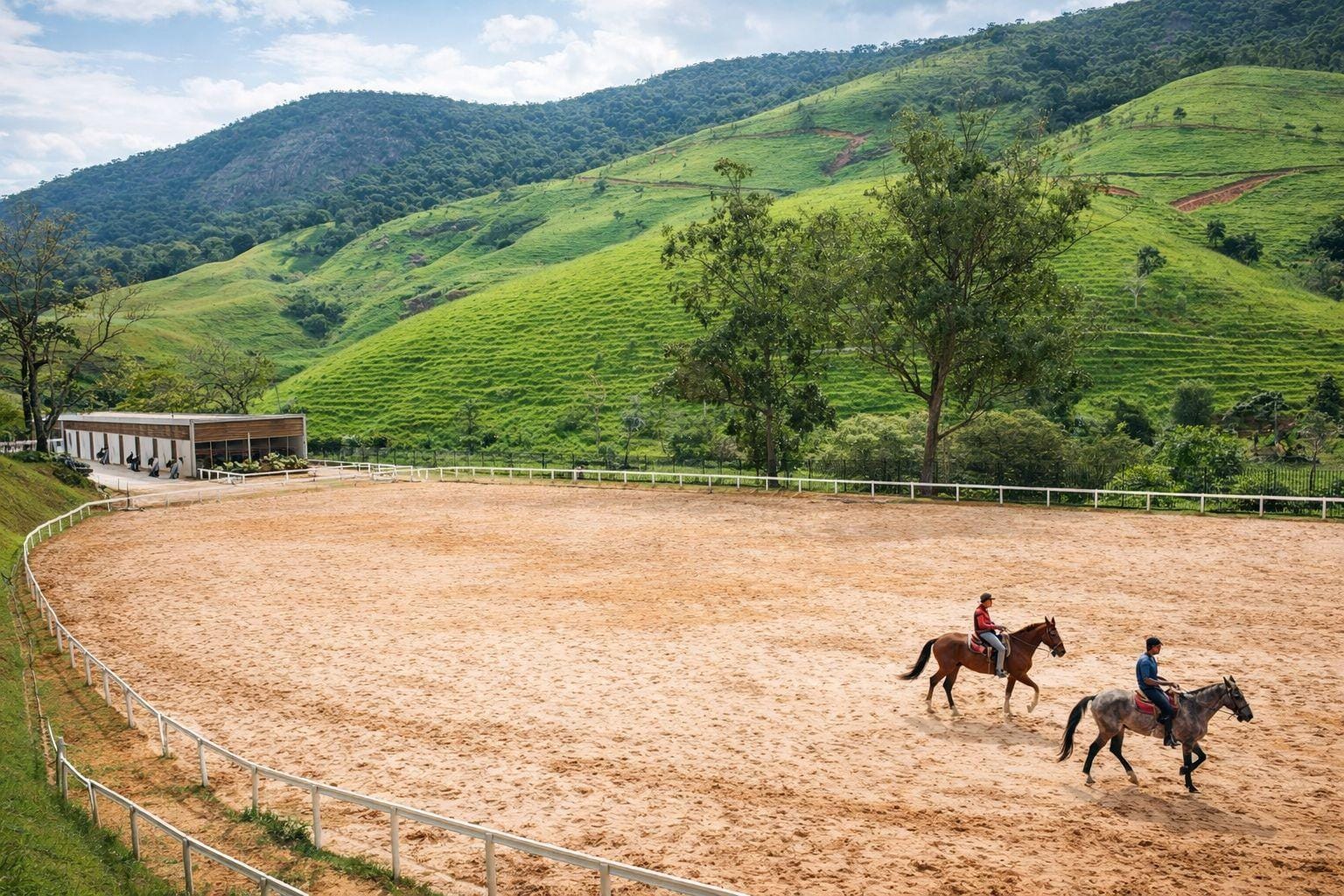 Terreno, 2 hectares - Foto 3