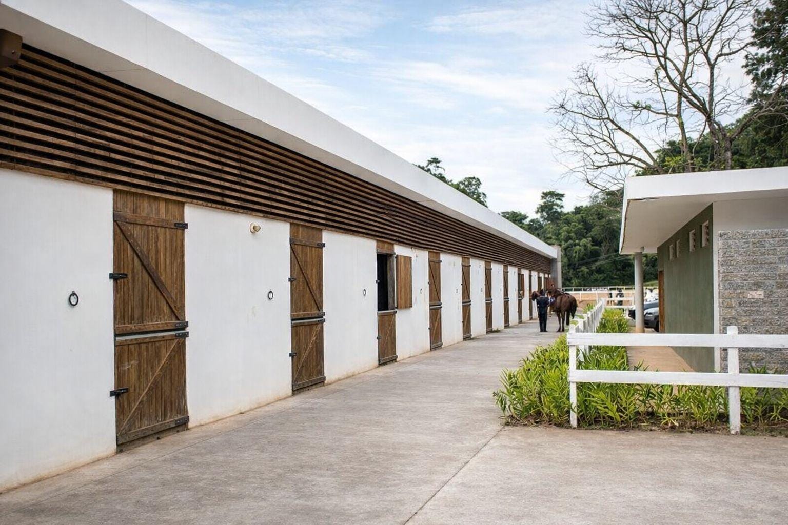 Terreno, 2 hectares - Foto 4