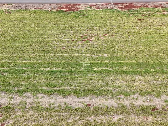 Terreno com 300m², à venda, no bairro Betel em Paulínia