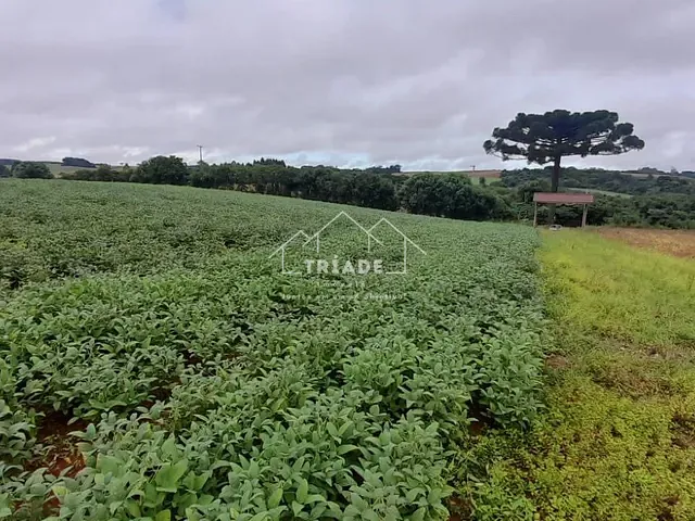 Terreno à venda, no bairro Lagoa das Almas em Contenda