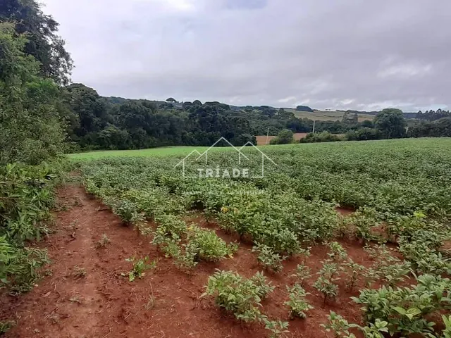 Terreno à venda, no bairro Lagoa das Almas em Contenda