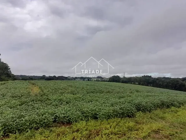 Terreno à venda, no bairro Lagoa das Almas em Contenda