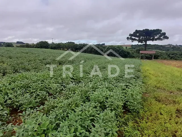 Terreno à venda, no bairro Lagoa das Almas em Contenda