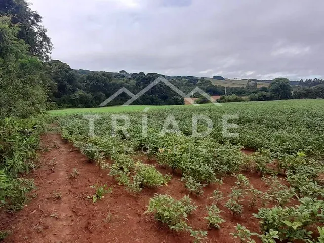Terreno à venda, no bairro Lagoa das Almas em Contenda