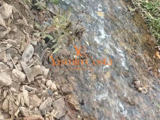 Terreno com 169400m², à venda, no bairro Serra dos Rodrigues em Cambuí