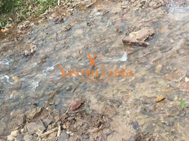 Terreno com 169400m², à venda, no bairro Serra dos Rodrigues em Cambuí