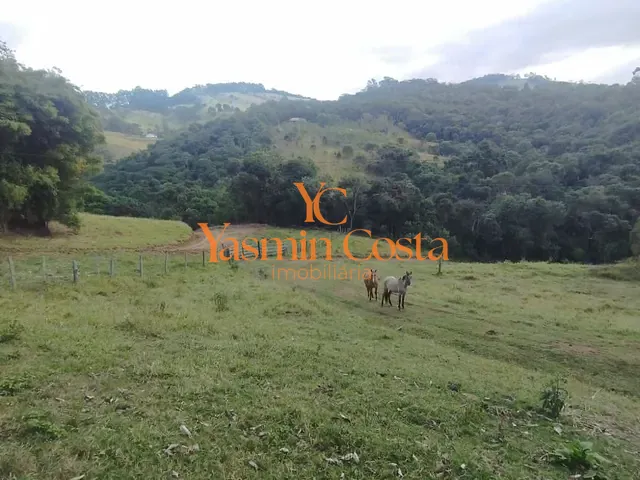 Terreno com 169400m², à venda, no bairro Serra dos Rodrigues em Cambuí