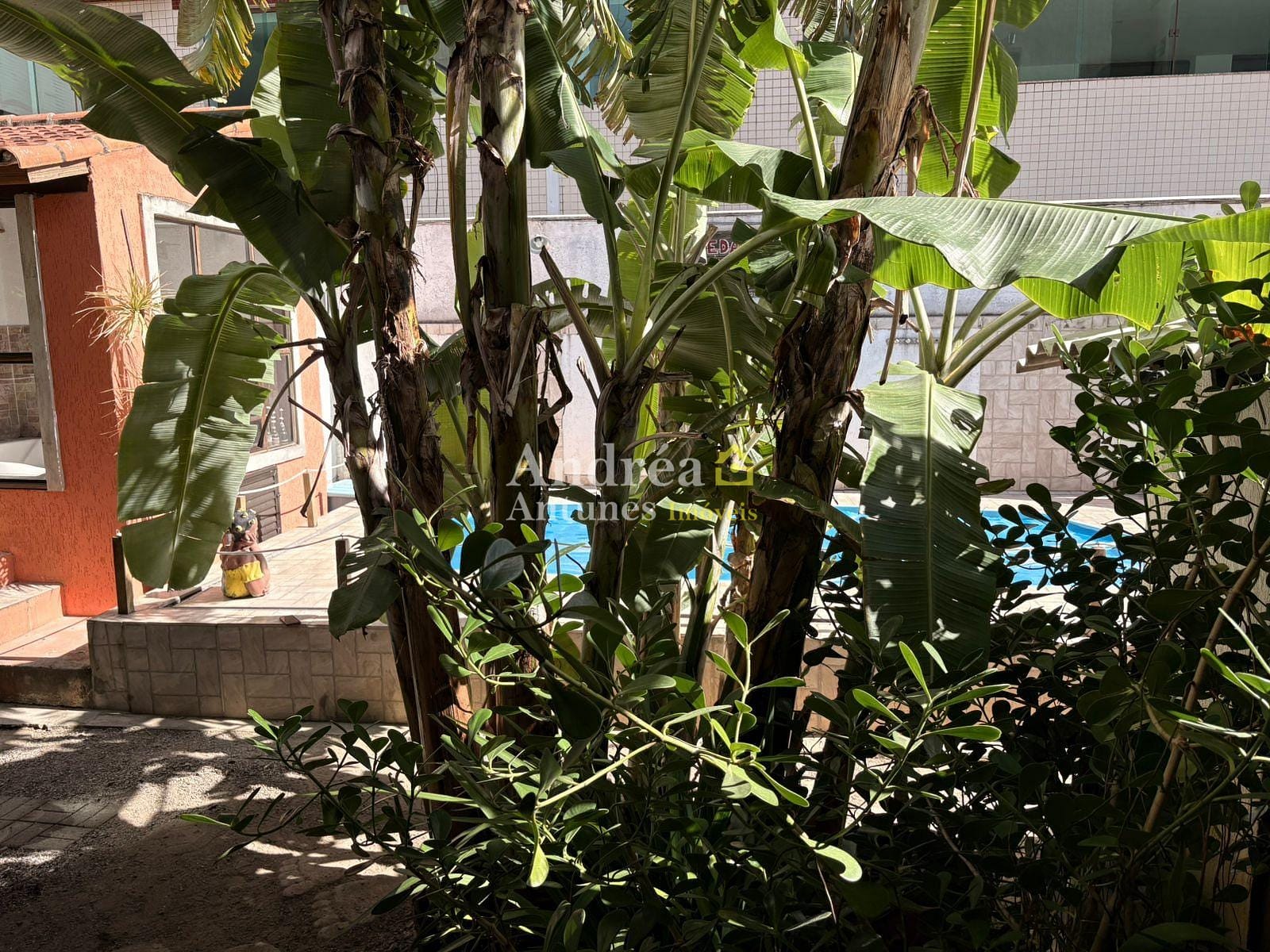 Casa, 1 quarto, 400 m² - Foto 52