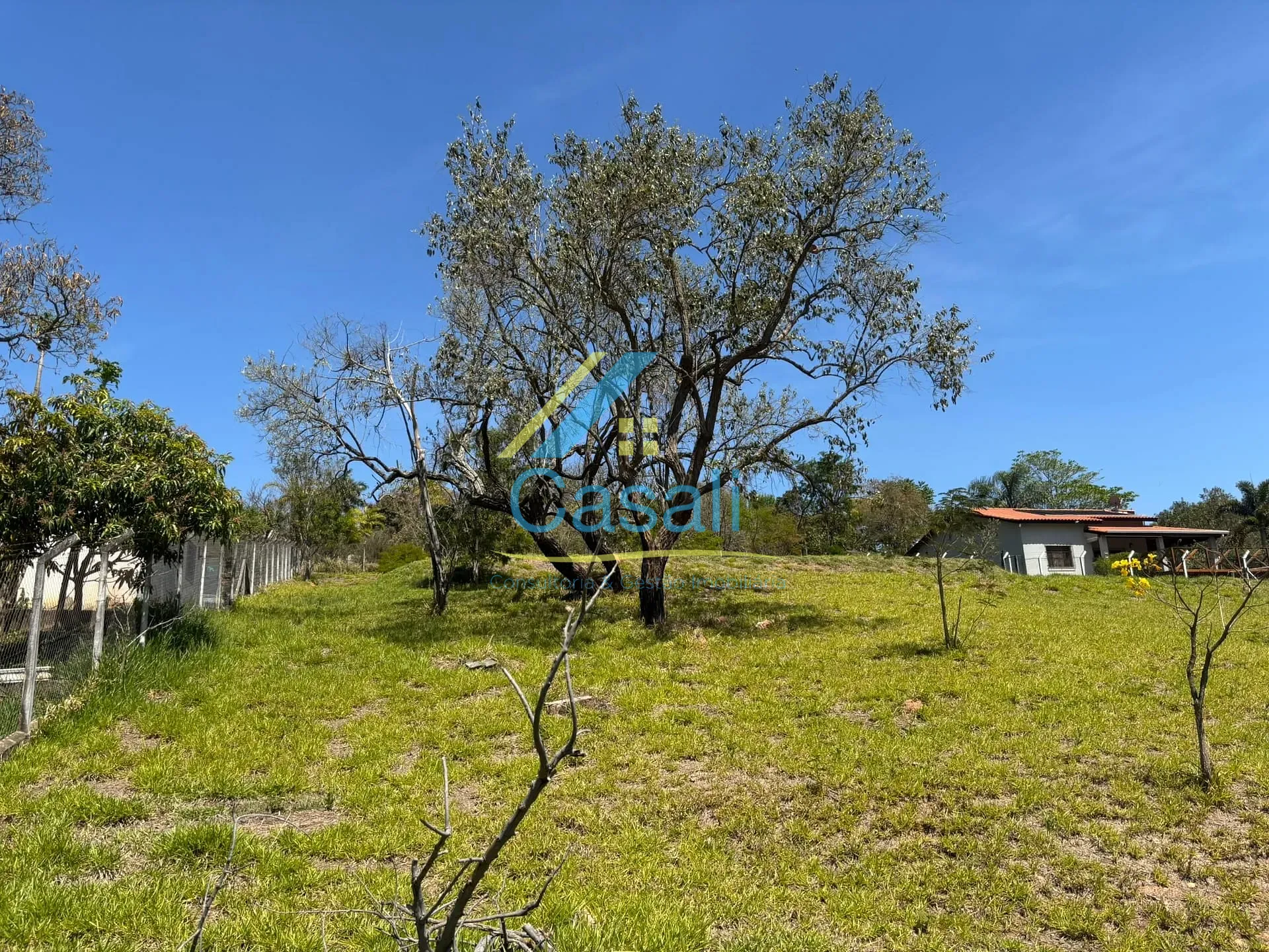 Terreno, 2516 m² - Foto 6