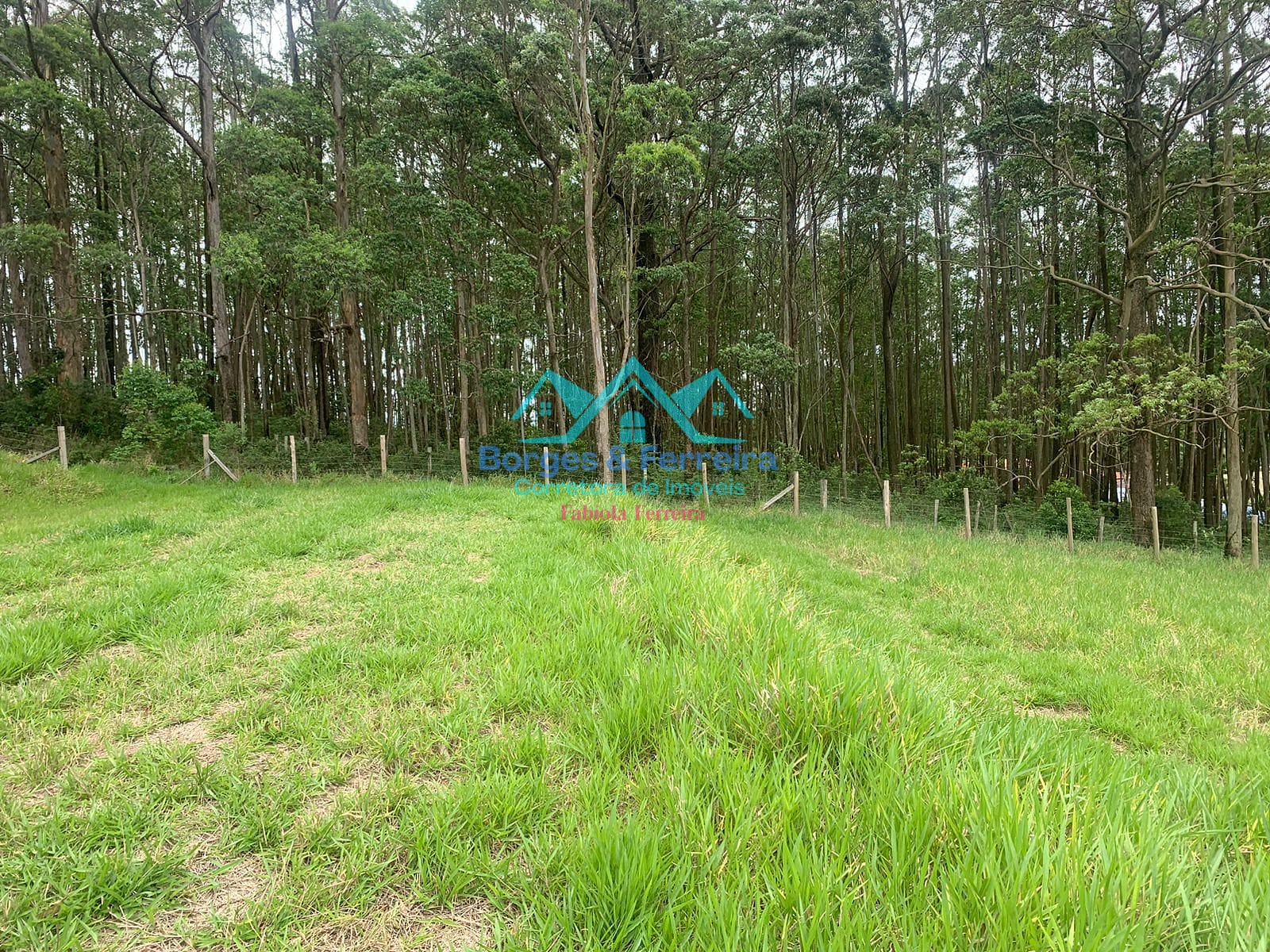 Terreno, 1500 m² - Foto 3