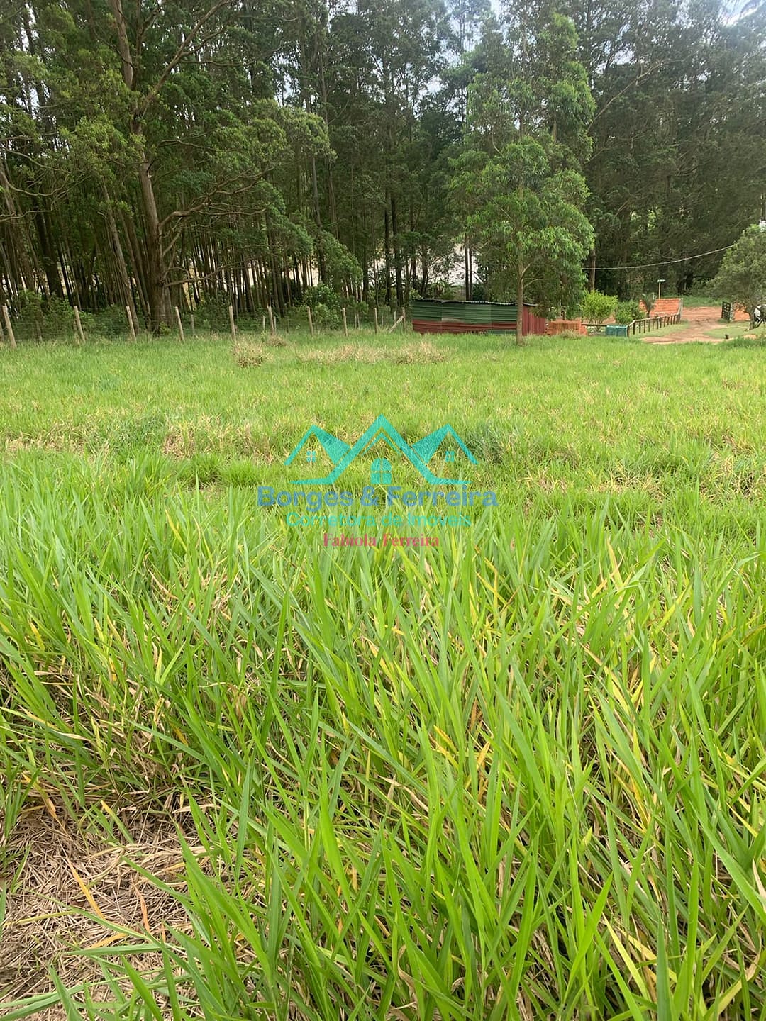 Terreno, 1500 m² - Foto 8