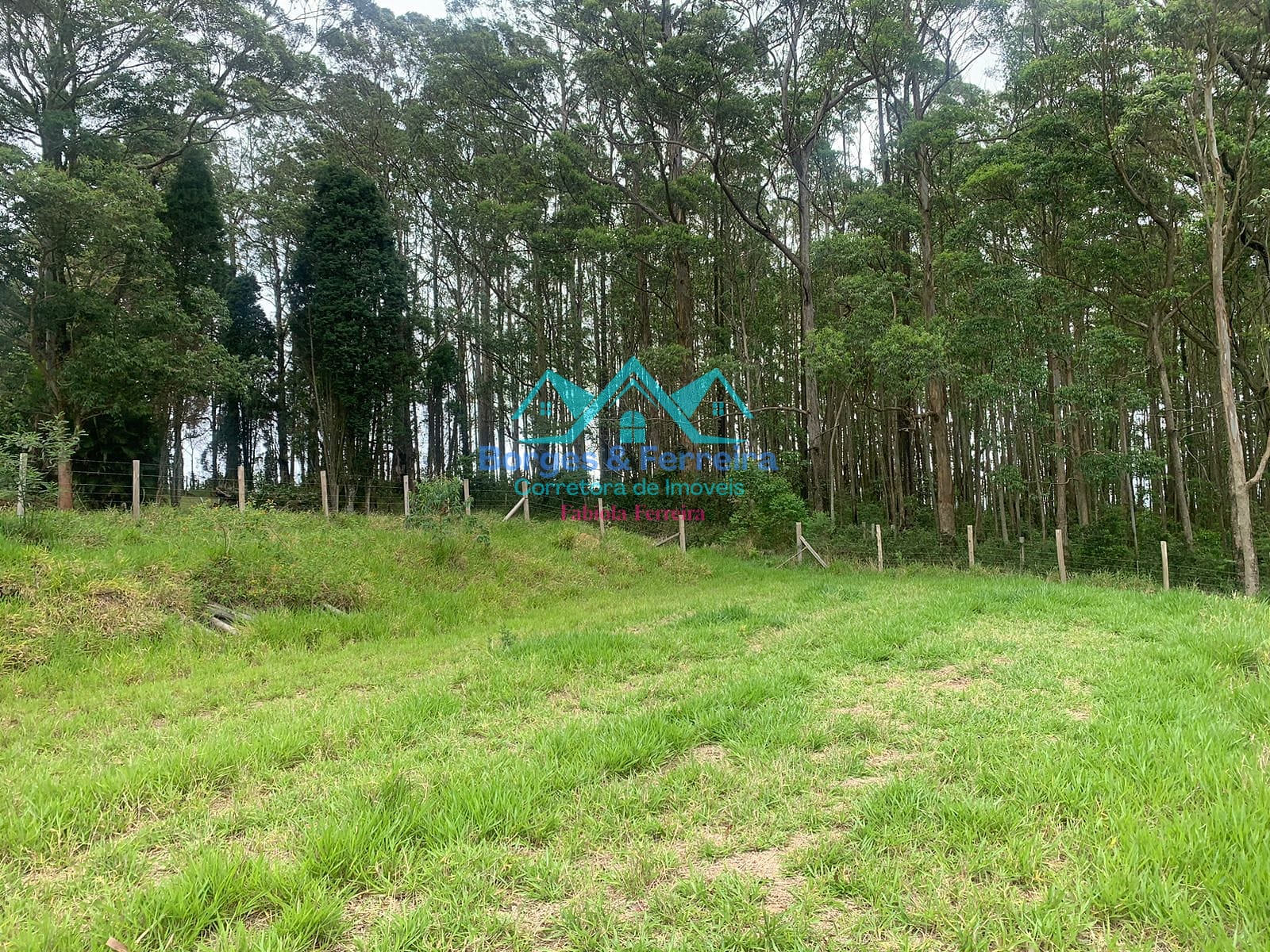 Terreno, 1500 m² - Foto 11