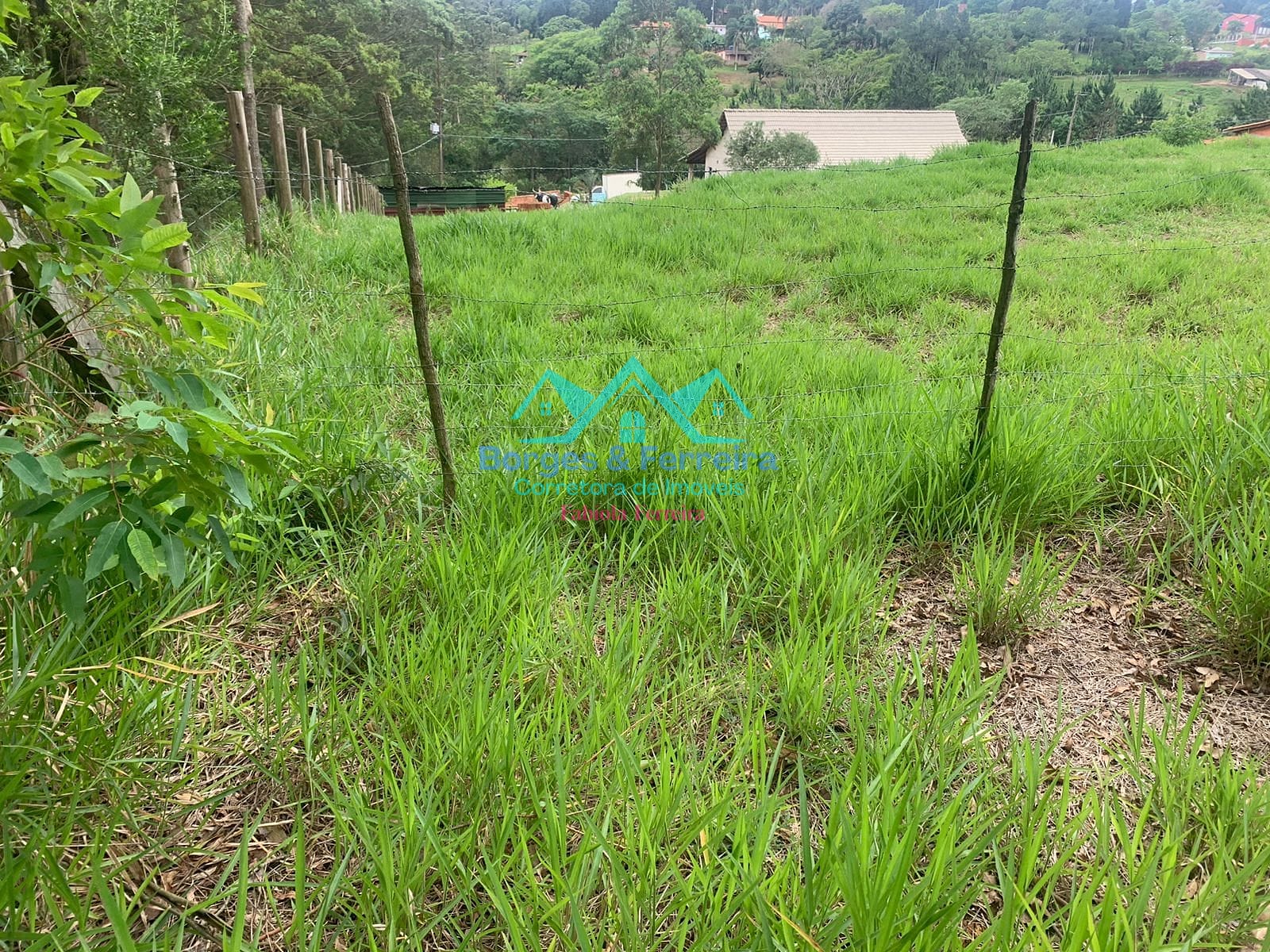 Terreno, 1500 m² - Foto 15