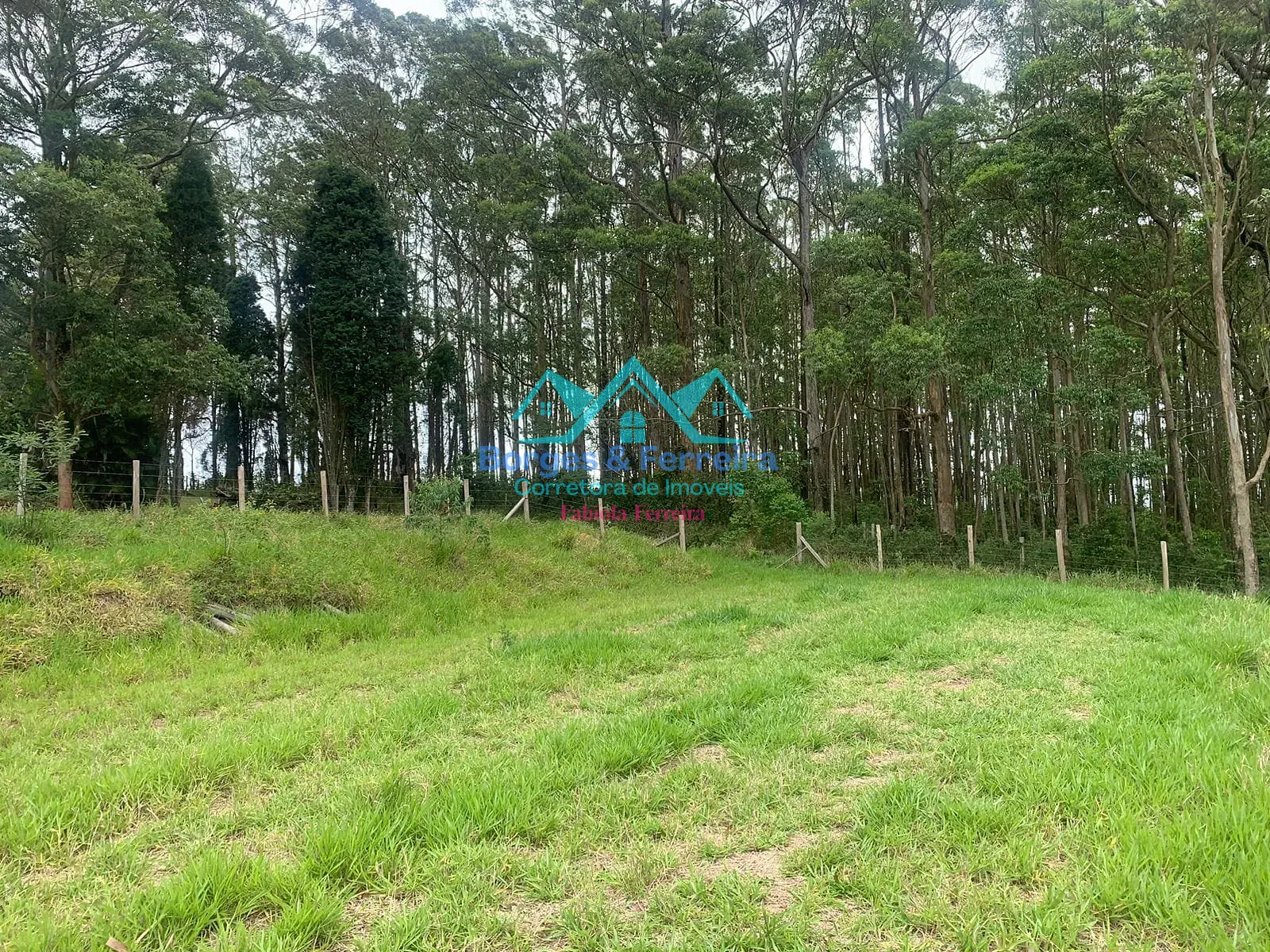 Terreno, 1500 m² - Foto 11