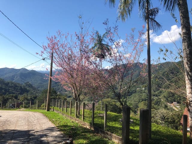 Foto do Terreno - Terreno à Venda, Mury, Nova Friburgo, RJ | Viva Friburgo