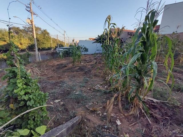 Terreno com 400m², à venda, no bairro Parque Nova Carioba em Americana