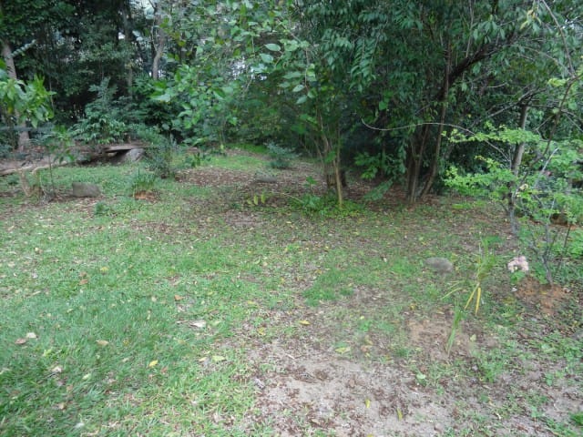 Terreno à venda, no bairro Pedro do Rio em Petrópolis