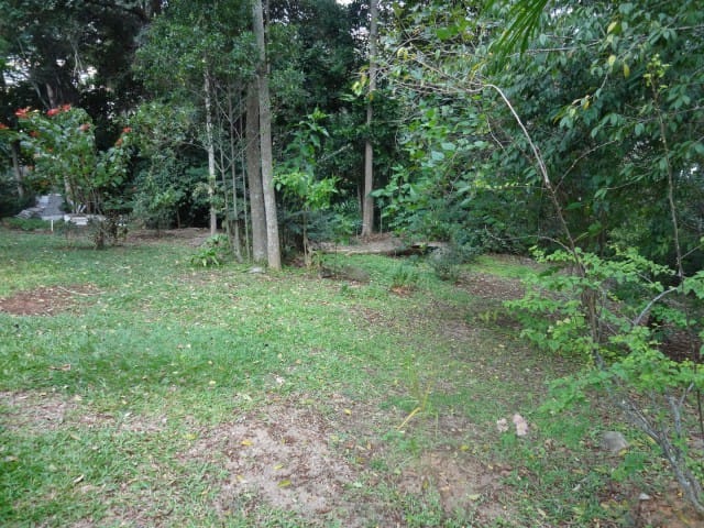 Terreno à venda, no bairro Pedro do Rio em Petrópolis