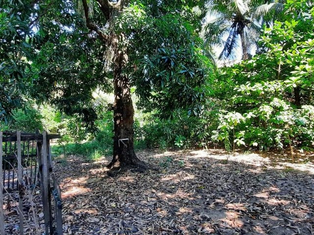 Terreno com 2640m², à venda, no bairro Vila Valqueire em Rio de Janeiro
