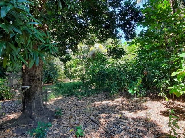 Terreno com 2640m², à venda, no bairro Vila Valqueire em Rio de Janeiro