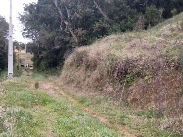 Terreno com 15000m², à venda, no bairro Terceira Linha em Águas Mornas
