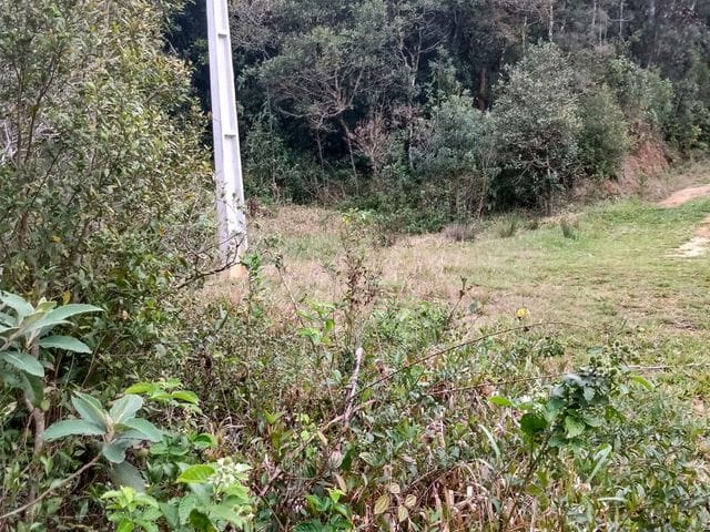 Terreno com 15000m², à venda, no bairro Terceira Linha em Águas Mornas