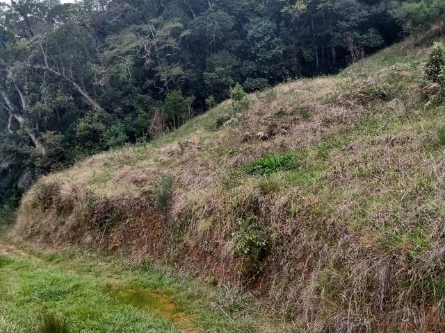 Terreno com 15000m², à venda, no bairro Terceira Linha em Águas Mornas