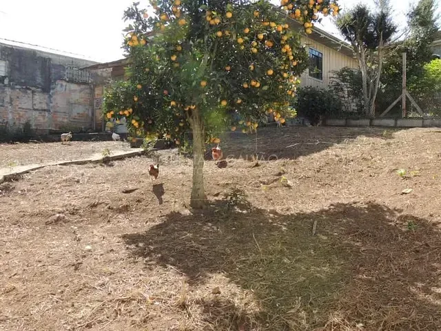 Terreno com 915m², à venda, no bairro Portão em Curitiba