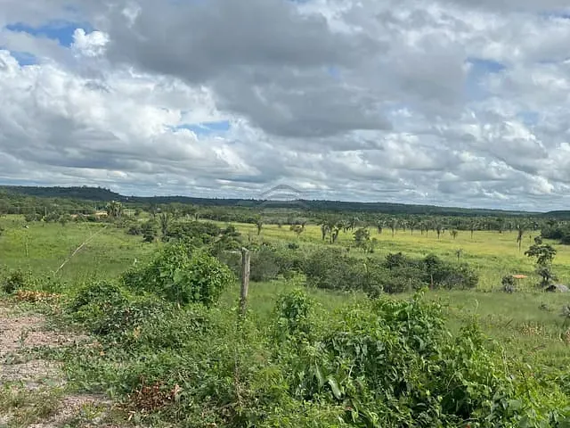 Terreno com 32400m², à venda, no bairro Cacimba Velha em Teresina