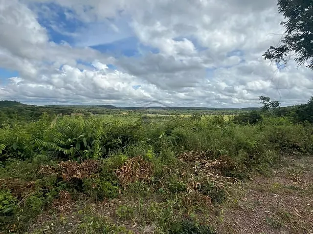 Terreno com 32400m², à venda, no bairro Cacimba Velha em Teresina