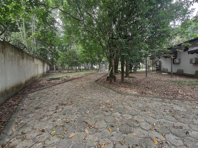 Sítio 4 quartos e 4 banheiros, à venda, no bairro TAPANÃ em Belém