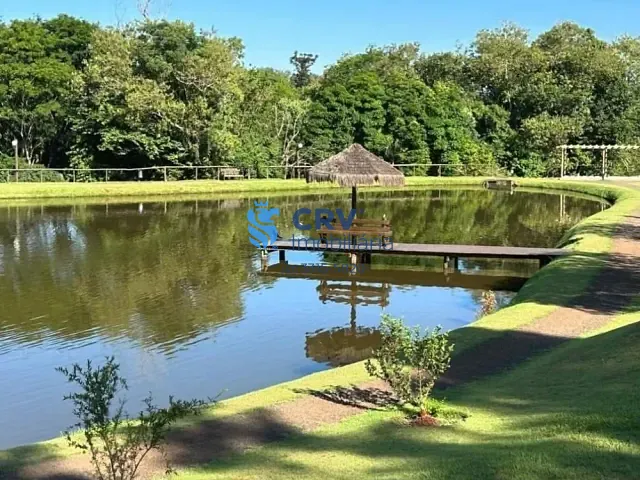 Terreno com 316m², à venda, no bairro Nova Esperança em Londrina