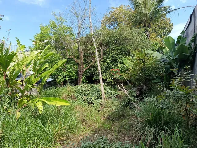 Terreno com 400m², à venda, no bairro Vila Rio Branco em São Paulo