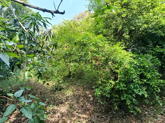 Terreno com 400m², à venda, no bairro Vila Rio Branco em São Paulo