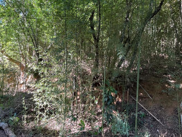 Terreno com 1940m², à venda, no bairro Samambaia em Petrópolis