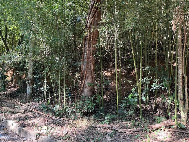 Terreno com 1940m², à venda, no bairro Samambaia em Petrópolis