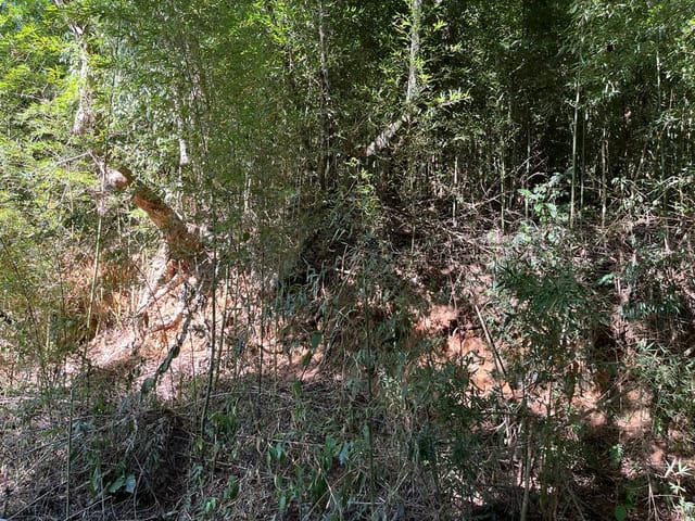 Terreno com 1940m², à venda, no bairro Samambaia em Petrópolis