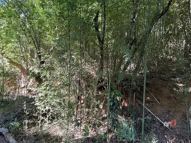 Terreno com 1940m², à venda, no bairro Samambaia em Petrópolis