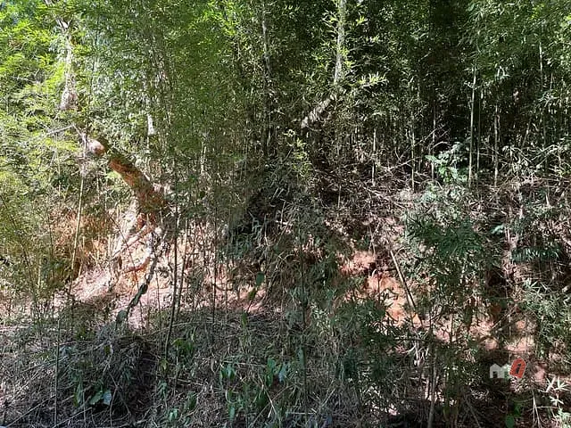 Terreno com 1940m², à venda, no bairro Samambaia em Petrópolis