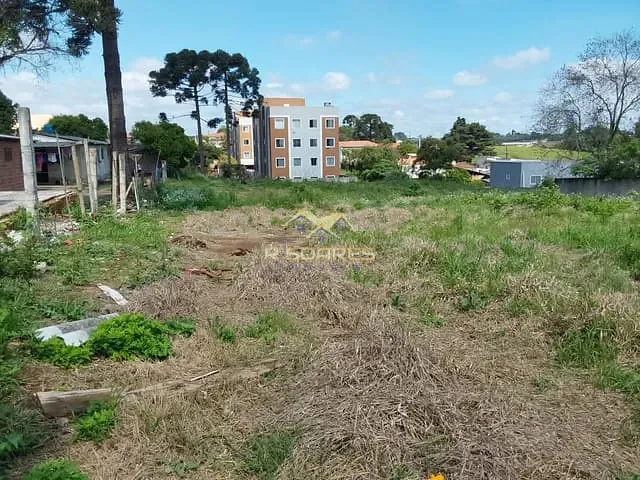 Terreno com 3225m², à venda, no bairro Thomaz Coelho em Araucária