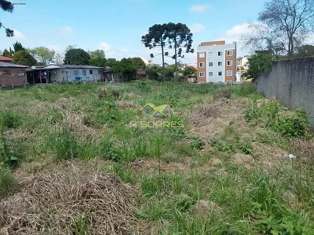 Terreno com 3225m², à venda, no bairro Thomaz Coelho em Araucária