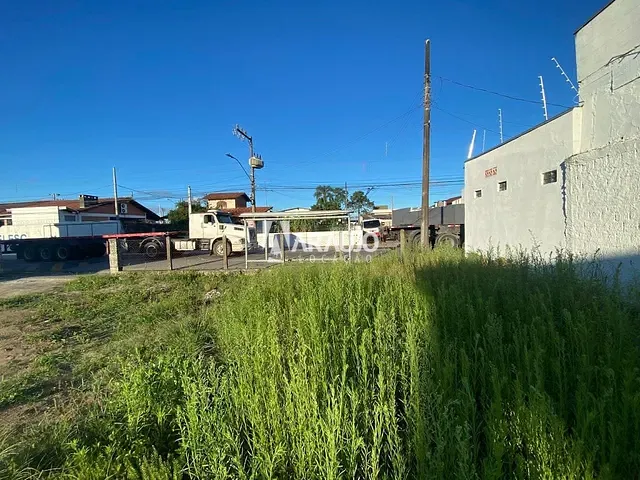 Terreno com 250m², para alugar, no bairro São João em Itajaí