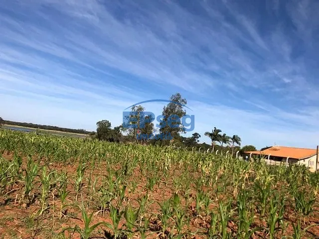 Terreno com 5419m², à venda, no bairro Recreio Tibagi em Primeiro de Maio