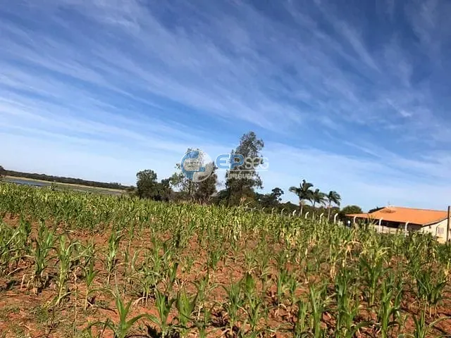 Terreno com 5419m², à venda, no bairro Recreio Tibagi em Primeiro de Maio