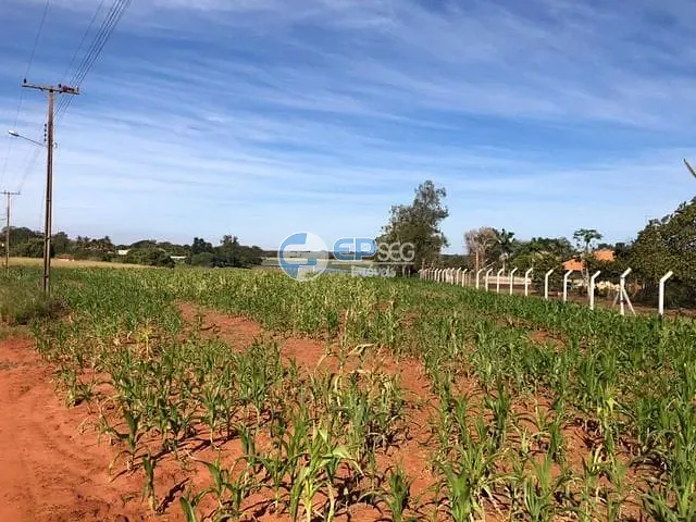 Terreno com 5419m², à venda, no bairro Recreio Tibagi em Primeiro de Maio